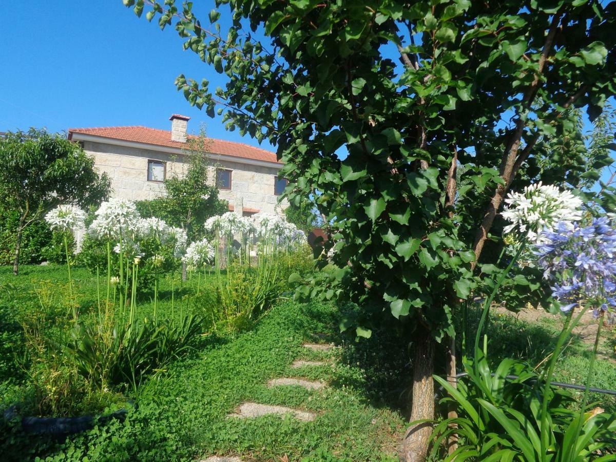 Bernardes House Guest House Castelo de Paiva Bagian luar foto
