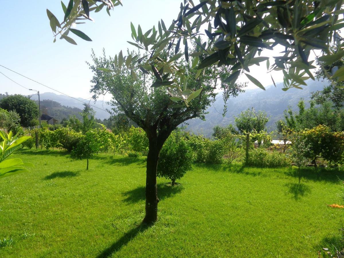 Bernardes House Guest House Castelo de Paiva Bagian luar foto