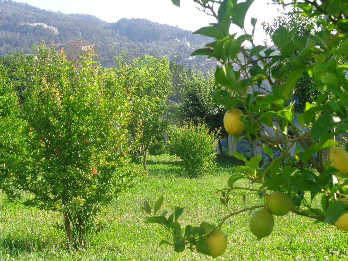 Bernardes House Guest House Castelo de Paiva Bagian luar foto