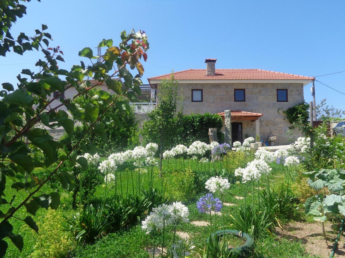 Bernardes House Guest House Castelo de Paiva Bagian luar foto
